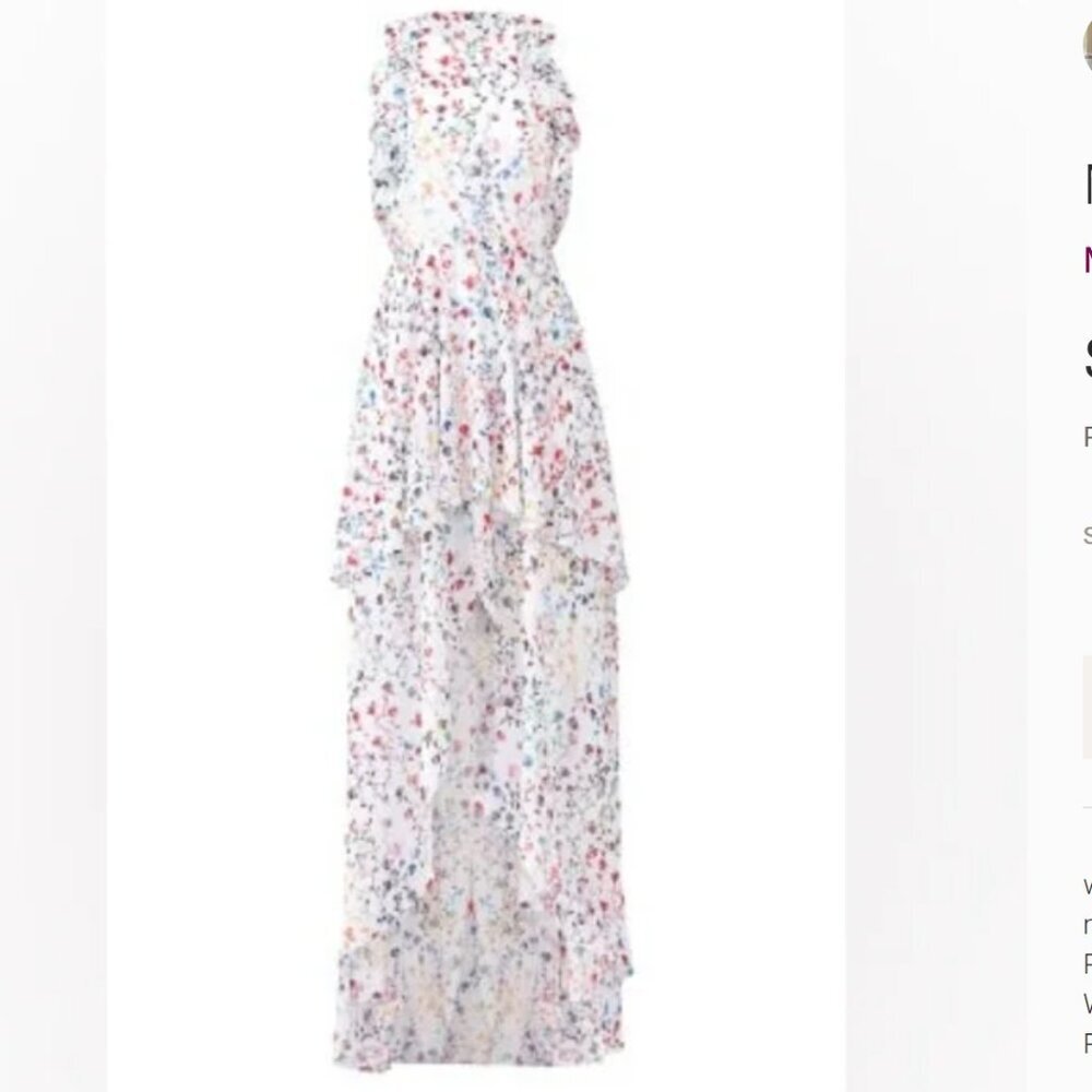 Monique Lhuillier floral romantic fairy  dress gown 10 - Picture 4 of 14